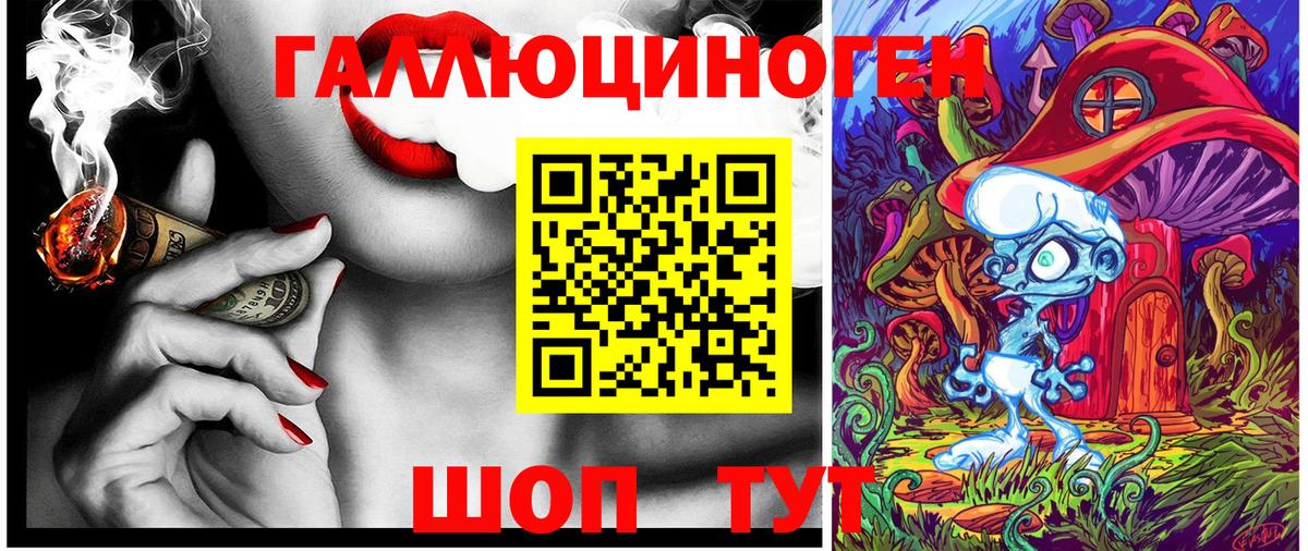 Галлюциногенные грибы Psilocybine cubensis Партизанск